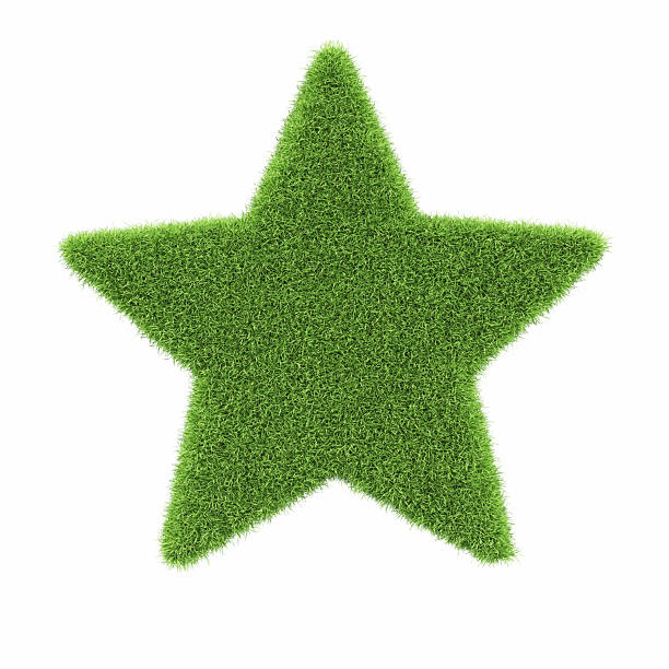 istock Star Shape Made of Green Grass on Isolated White Background - Object Clipping Path 2223975636