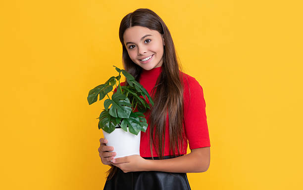 istock child smile with monstera in pot on yellow background 2223976284
