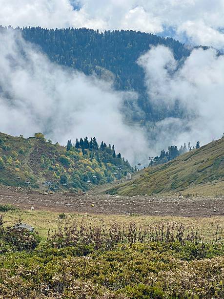 istock Vibrant Mountain landscape in early autumn 2223977333