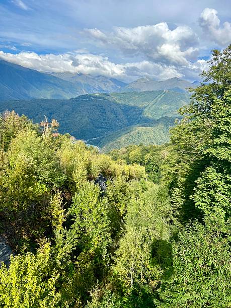 istock Vibrant Mountain landscape in early autumn 2223986503