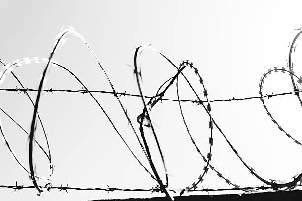 istock Black and white barb wire fence 2223988998