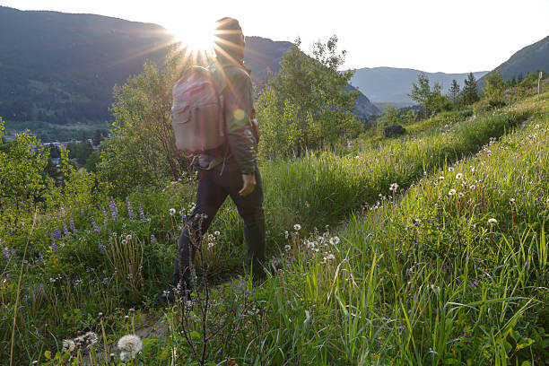 istock Mature man hikes through mountain meadow at sunrise 2223995651