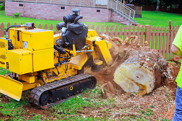 istock Stump removal machine grinding down tree stump in residential yard during works day hours 2223995858