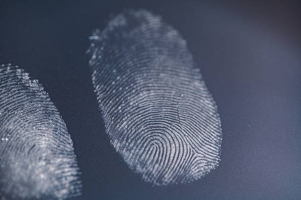 Human fingerprints. Crime Scene Investigation.