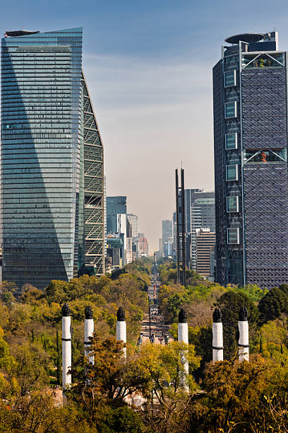 istock Paseo de la Reforma and skyline viewed from Chapultepec Forest, Mexico City 2223996291