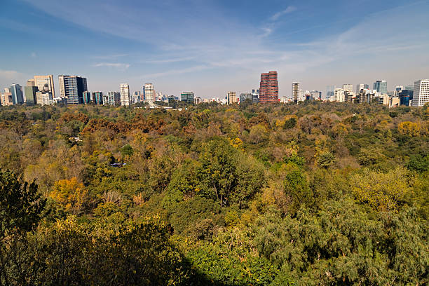 Aerial View of Mexico City skyline from Chapultepec Park