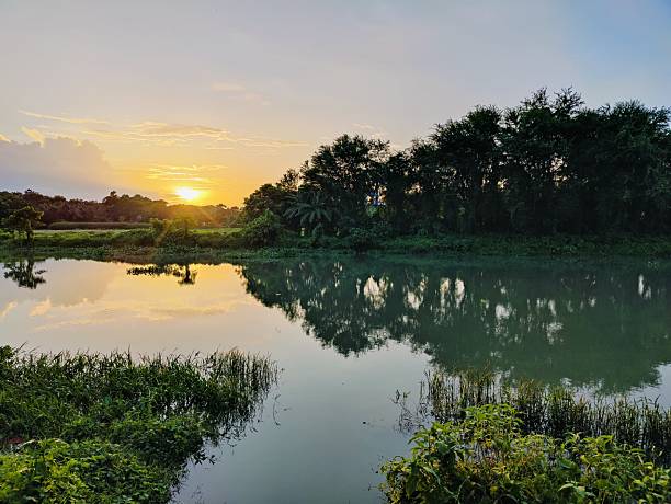 istock Tranquil sunset over a reflective lake surrounded by verdant forest scenery 2224000535