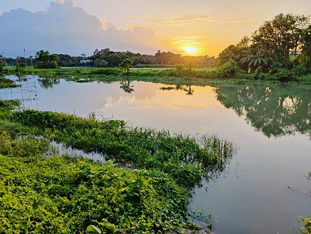 istock Tranquil sunset over a reflective lake surrounded by verdant forest scenery 2224000562