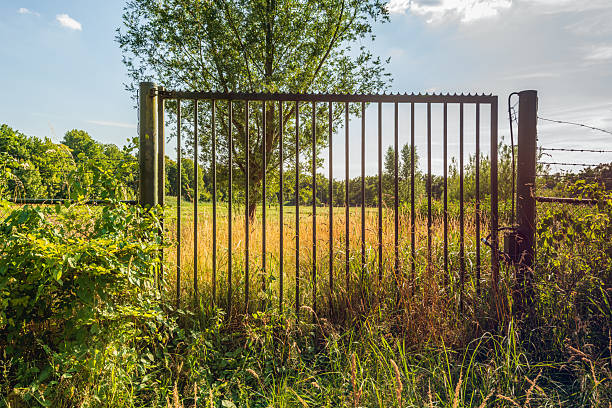 Backlit photo of a closed iron gate with a sharp pointed top edge. Behind the gate is a rural area with trees and partly yellowed grass.