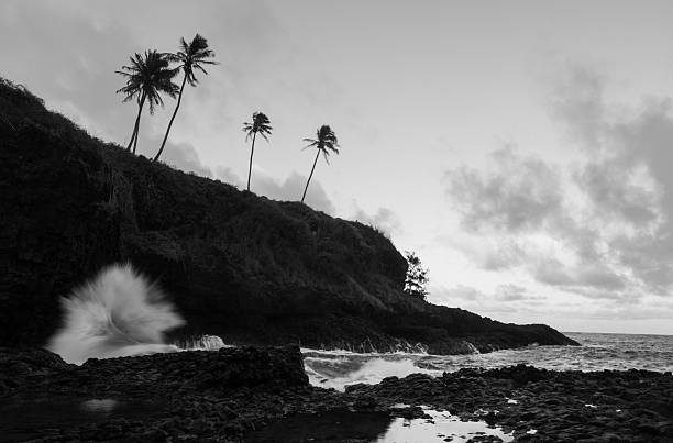 istock Monochrome coastal cliffs and palm trees above the pacific ocean 2224005725