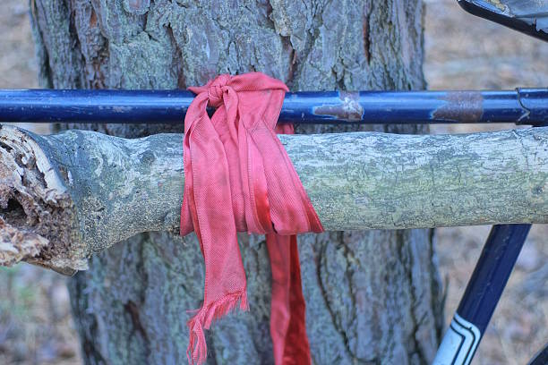 part of blue metal bicycle frame with gray branch tied with red rope near tree on summer street