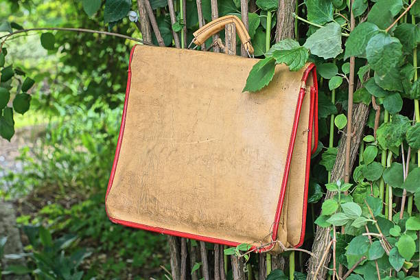 one old brown leather schoolbag hanging on a grey branch of a bush in a summer park