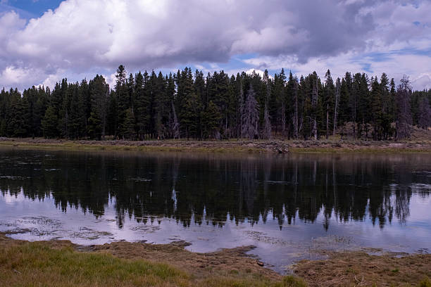 Elk Antler Creek in Hayden Valley at Yellowstone National Park in Park County, Wyoming