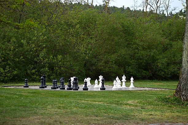 istock In the green garden, a large chessboard with chess pieces 2224011694