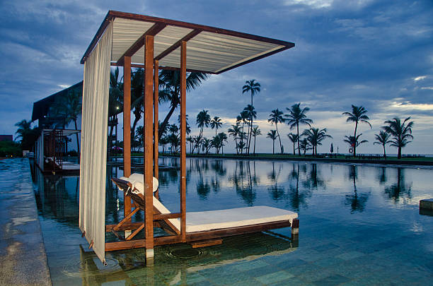 Coconut tree and swimming pool in Praia do Forte, state of Bahia.
