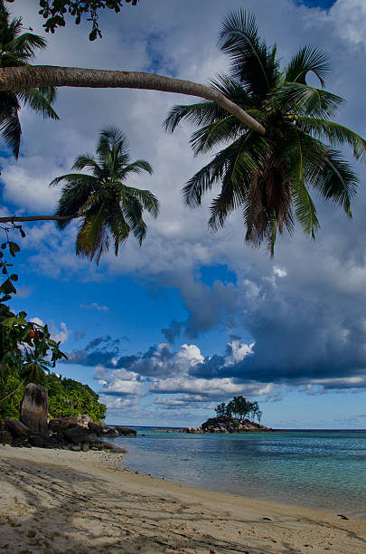 Beautiful tropical beach with white sand, turquoise water, palm trees and cloudy sky in the seychelles