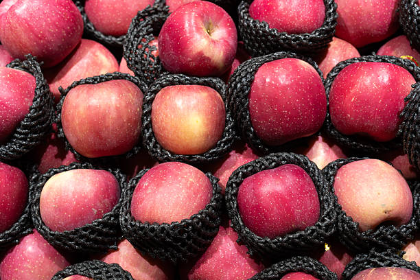 istock Fresh Red Apples Wrapped in Protective Black Nets, Vibrant and Juicy 2224014842
