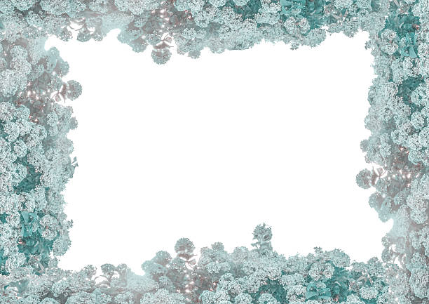 Blank background with bush of hydrangeas in cold mixed artificial colors decorated borders