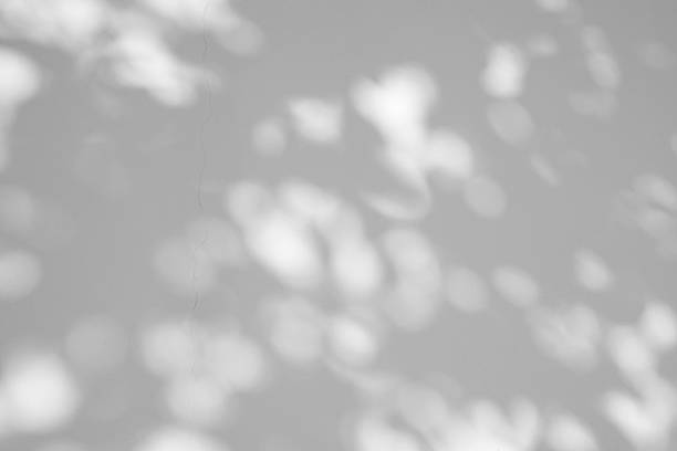istock Abstract natural tree leaves shadow on white wall background 2224018834