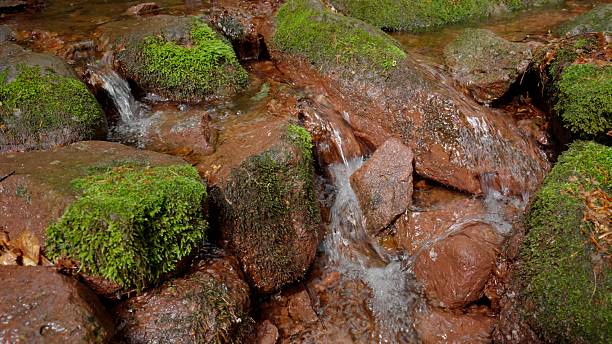 Mountain rapid stream riverbed with red rocks and moss. Clean spring water flowing in vibrant nature. Zen-like water landscape.