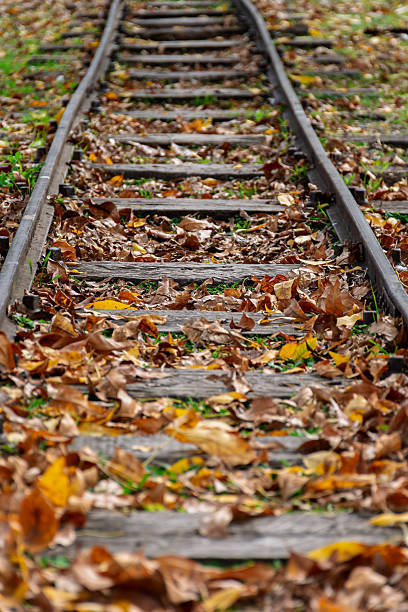istock Selective focus on railroad tracks in an autumn landscape. 2224024974