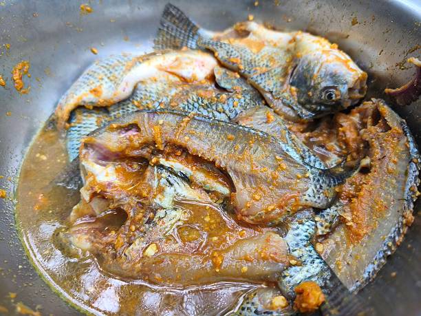 istock tilapia fish that is coated with seasoning 2224028464