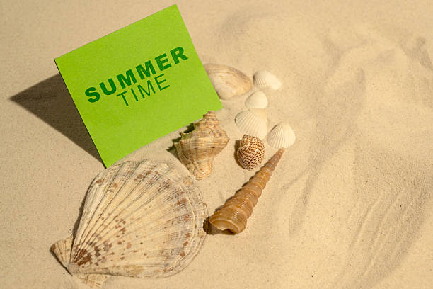 Seashells with a text of Summer time in the note on a beautiful sandy beach. Natural background. Summer concept. Top view