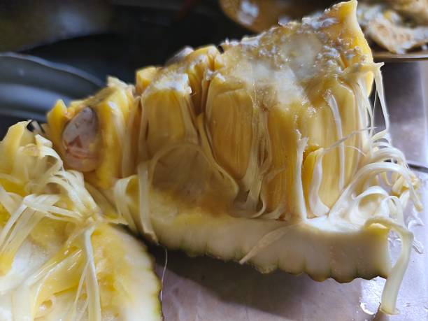 istock jackfruit pieces or Artocarpus heterophyllus 2224028548