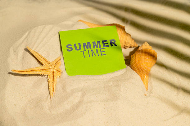 istock Starfish and seashells with a text of Summer time in the note on a beautiful sandy beach. Natural background. Summer concept. Top view 2224028657
