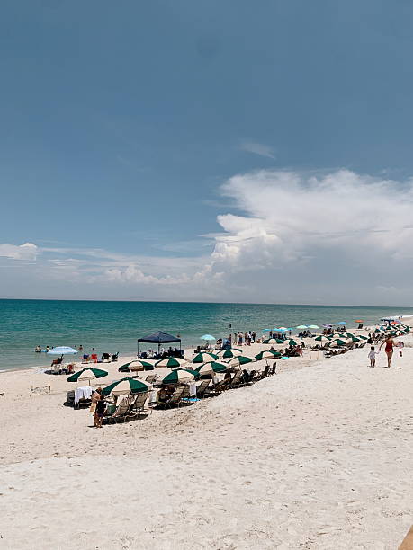 istock Beach Views in South Florida, Summer 2025 2224028924