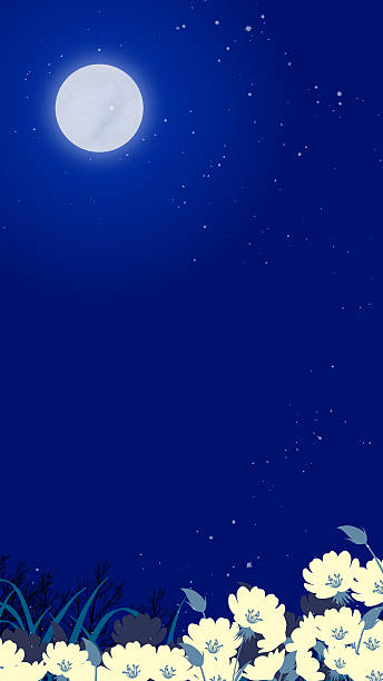 istock Dreamy Night Landscape with Evening Primrose Flowers with Full Moon 2224033523