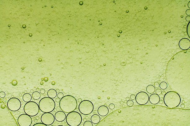 istock Macro microscope green bubble texture, Close-up Green bubbles and drops oil background . blue green water bubbles, close up golden oil drop for cosmetic 2224034597