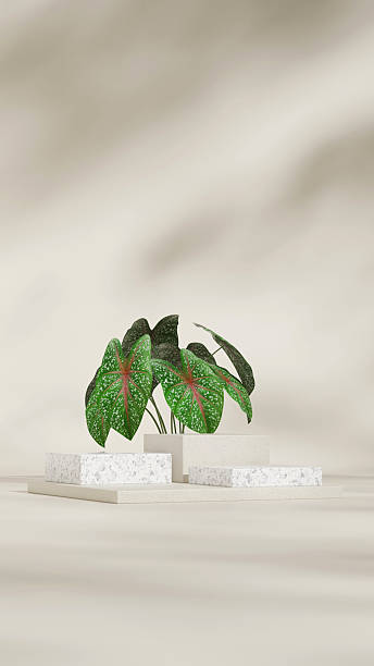 istock minimal scene, 3d render mockup space ceramic texture block shape in portrait 2224035142