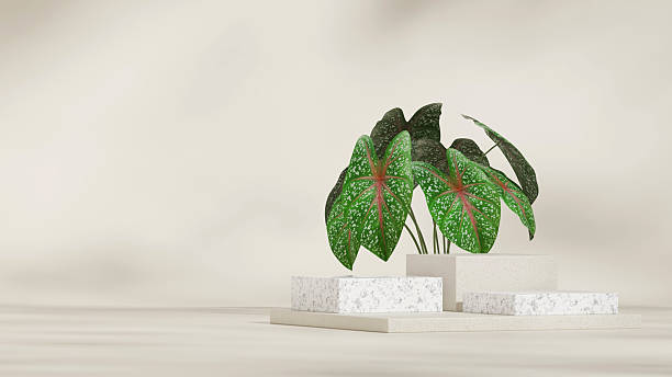 istock minimal scene, 3d render mockup space ceramic texture block shape in landscape 2224035143