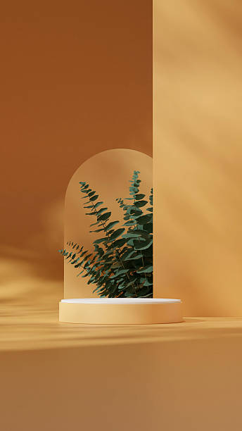 istock 3d image render blank space yellow color curved cylinder in portrait circle and wall 2224035349