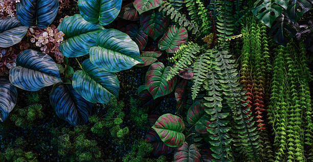 istock Full Frame of Green Leaves Pattern Background. 2224036136