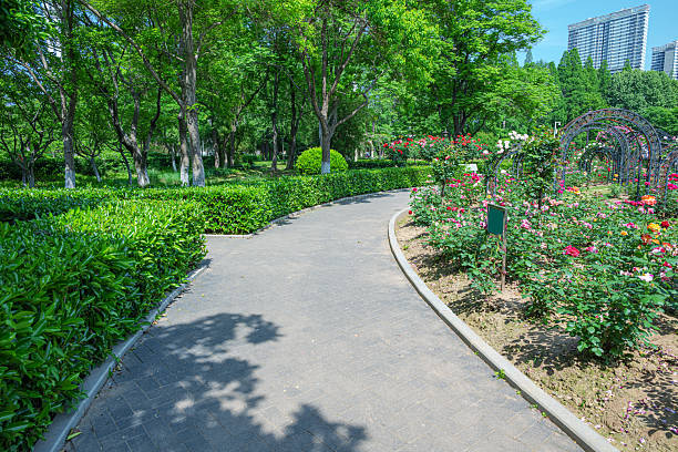 A tranquil and well-maintained pathway in Gülhane Park (Gülhane Parkı), Istanbul, Turkey, lined with tall trees, benches, vintage lampposts, and vibrant flowerbeds. The sunlight creates a soft play of light and shadow, evoking a peaceful and refreshing mood. A perfect setting for concepts related to nature, wellness, urban green areas, and leisurely strolls in a historical context.