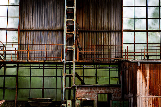 A photograph depicting a wall constructed of corrugated metal panels, with a tall ladder leaning against it, inside an abandoned building. The window frames reflect a green, natural light, suggesting overgrowth or vegetation outside.