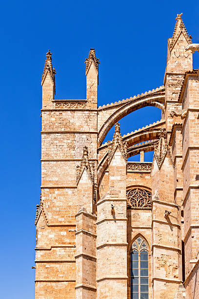Palma Cathedral an architectural old building with flying buttress