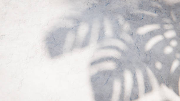 istock Blurred tropical palm leaves shadow on white concrete wall background texture 2224049927