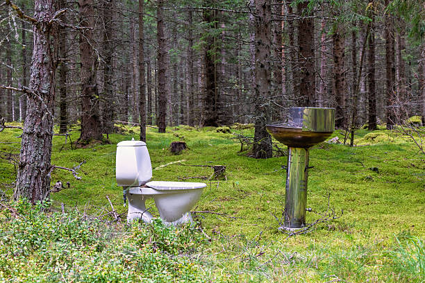 istock Spruce forest with a grill and a toilet bowl 2224050045