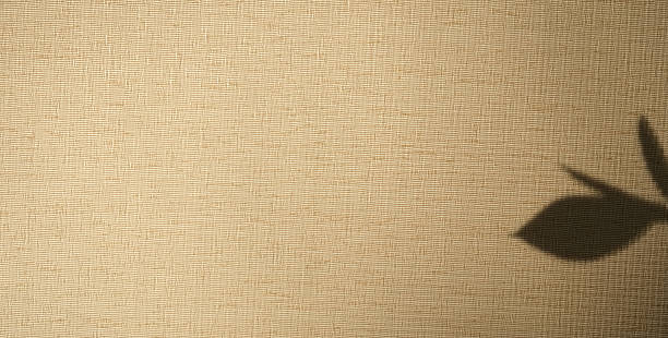 istock Light and shadow sunset, floral pattern. Minimalist. Vintage textile background. Abstract backdrop with leaf shadow. Wabi sabi style aestetics. Copy space on screen. Free place 2224051338