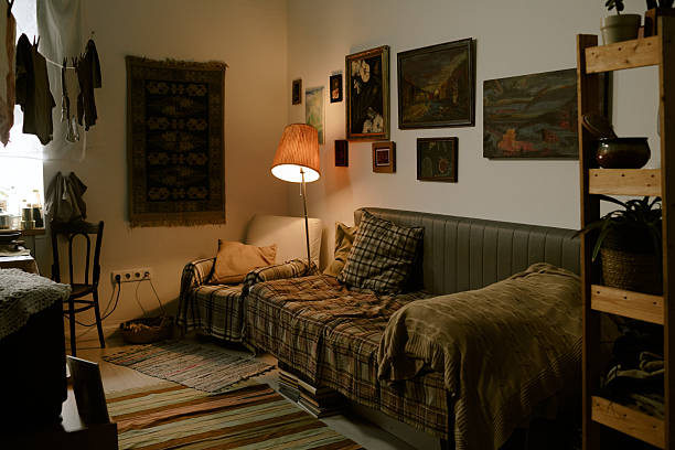 Living room interior showing empty couch with plaid blankets and pillows, wall decorated with framed paintings and rug, wooden shelves with potted plants, natural light entering window