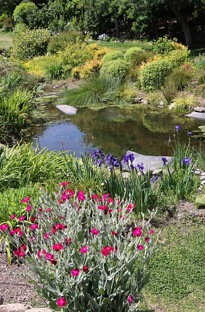 istock Gardens in Quiberon 2224057022