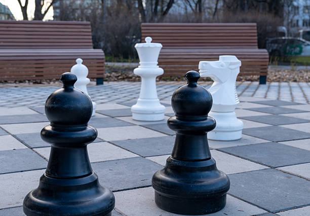 istock Chess pieces on the park 2224058812