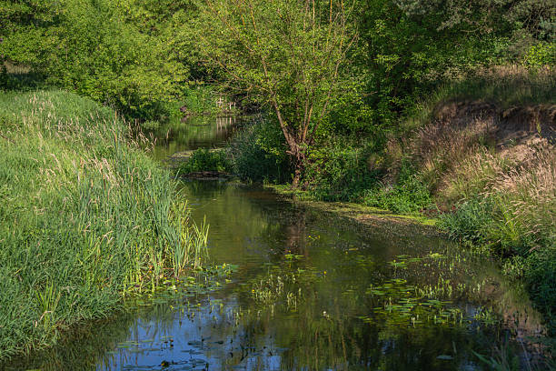 istock Small river Grabia in central Poland. 2224060978