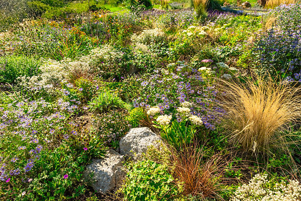 istock Backyard with fantastic landscaping, patio, drought resistant plants 2224062152