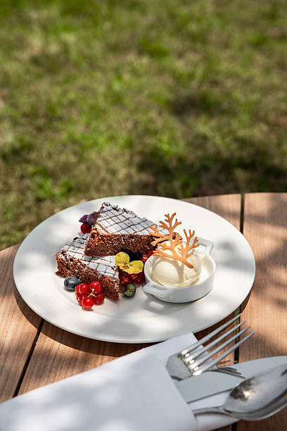 Elegant brownie cake pastry with vanilla ice cream and berries served in sunny garden restaurant