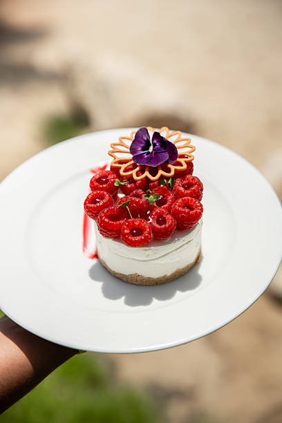 Elegant cheesecake cake pastry with raspberry served in sunny garden restaurant
