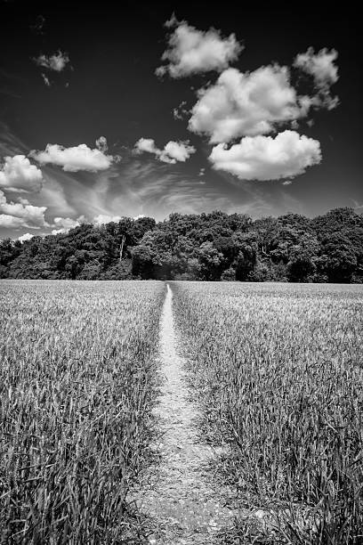 istock Buckinghamshire Farmland Around Old Amersham 2224063497